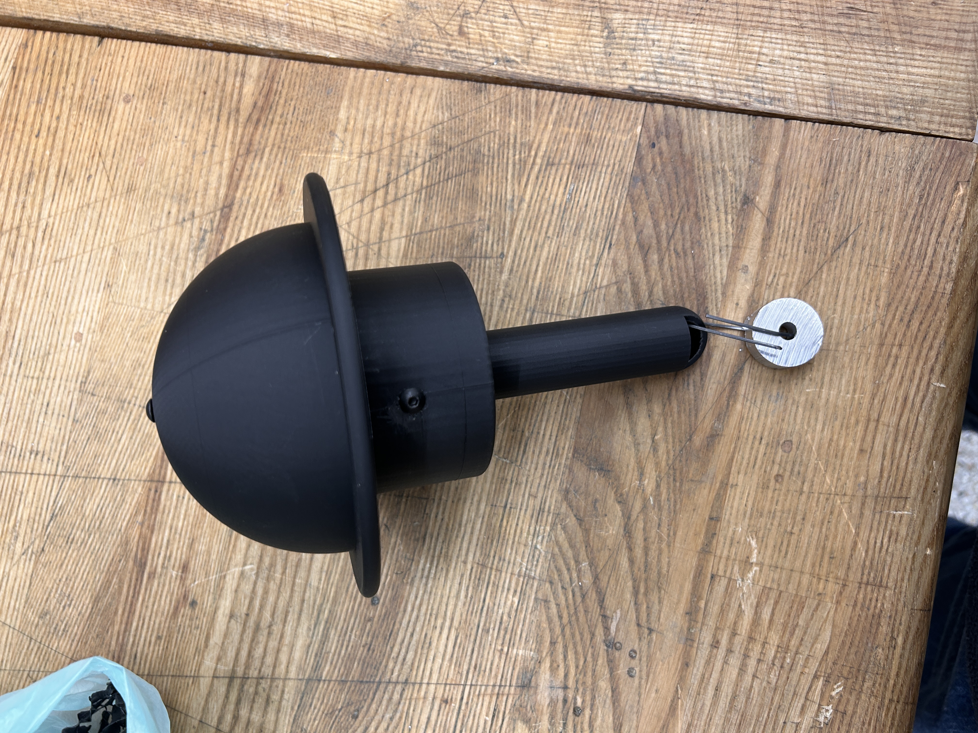 Early development stage