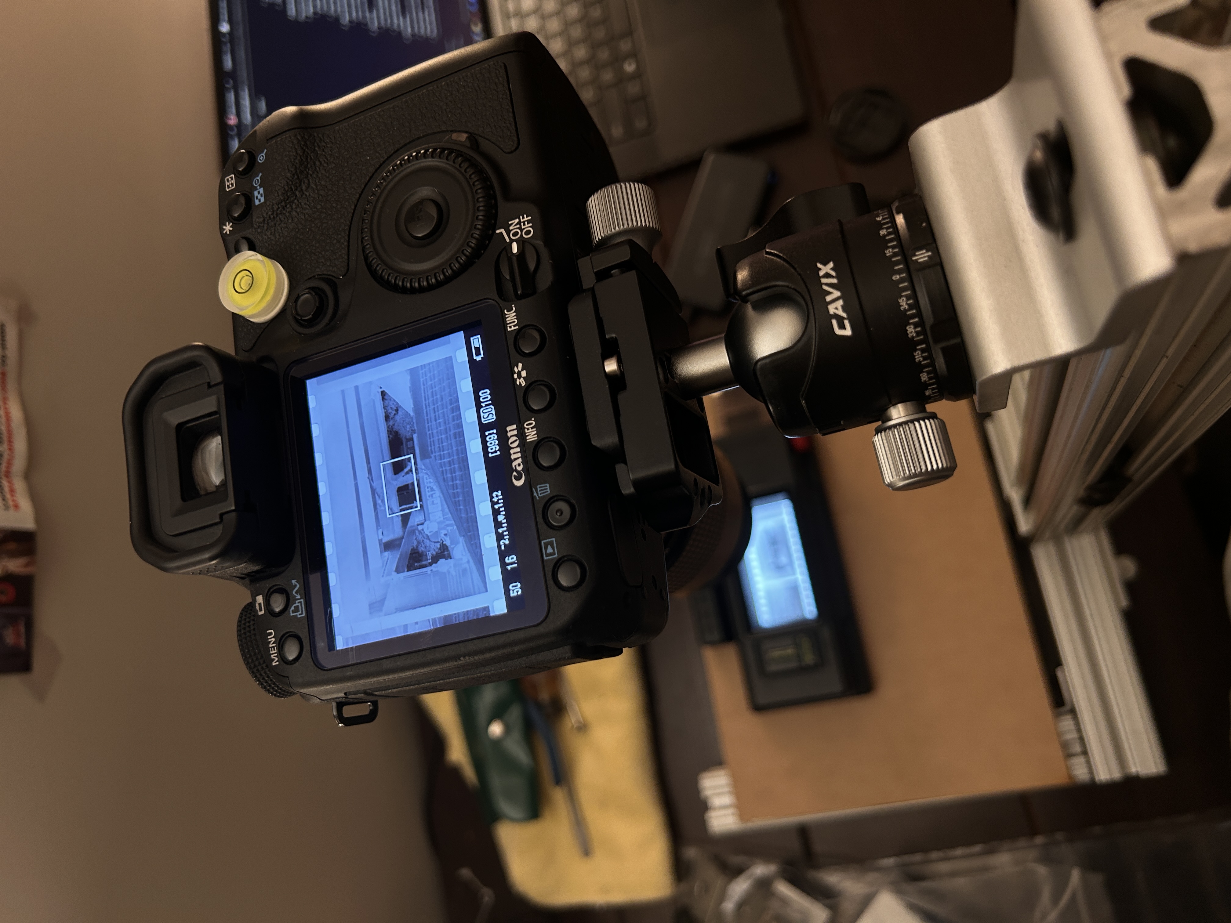 Film negative on light tray