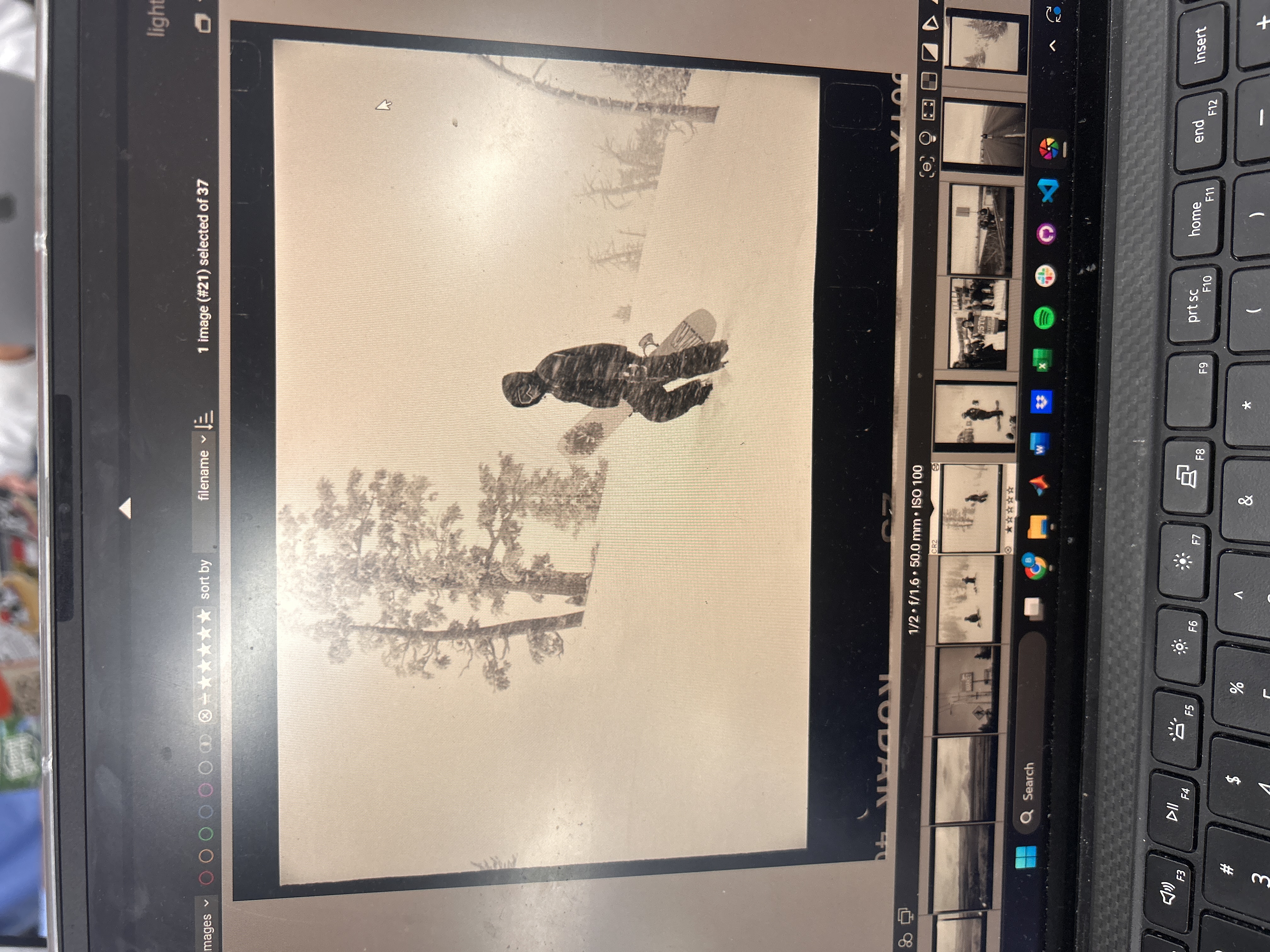 Macro lens detail shot