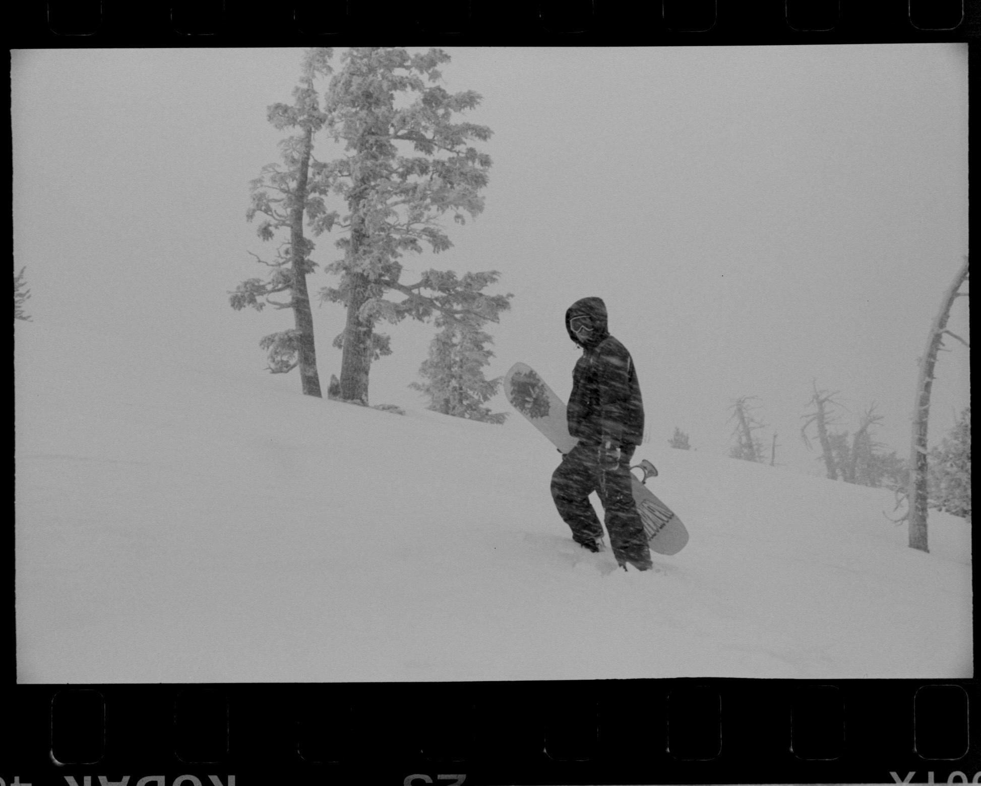 Completed scanning rig